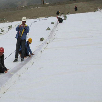 復合土工膜與土工膜 性能、應用及區別解析